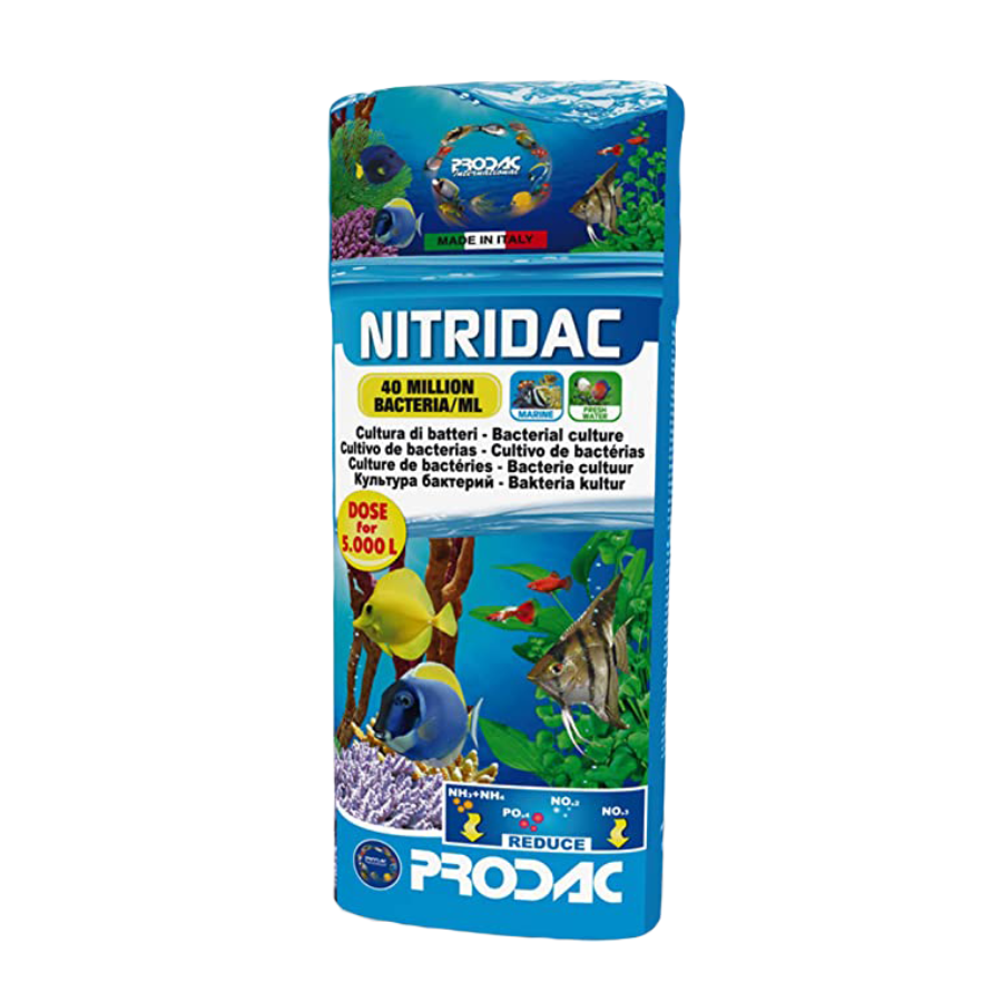 PRODAC NITRIDAC 100 ML, , large Imagen numero 1